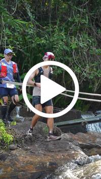 BIB:  <button type="button" onclick="openModal(27534417)" class="btn btn-primary btn-sm float-right" data-toggle="modal" data-target=".modal-high-quality">
                <i class="fa fa-download"></i> Download
                </button>